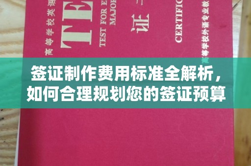 麻江签证制作费用标准全解析，如何合理规划您的签证预算？