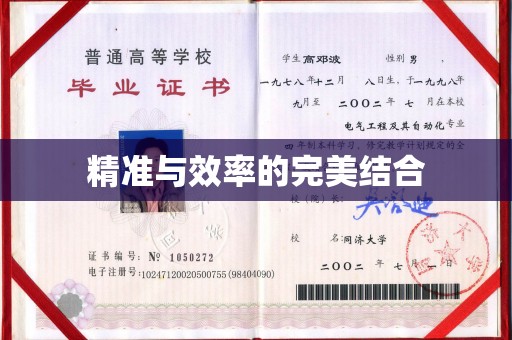 麻江精准与效率的完美结合